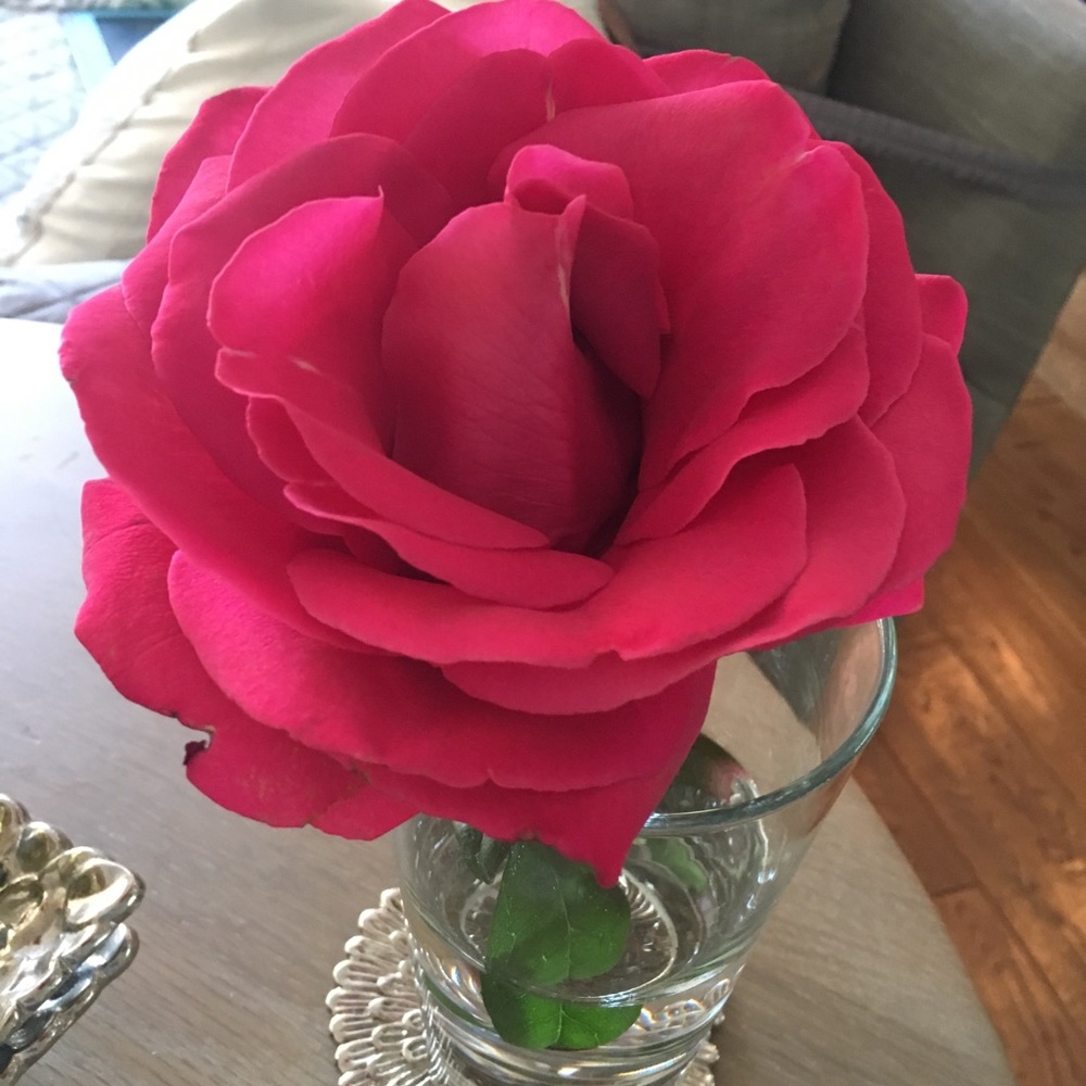 Meet your Posher, Tamar